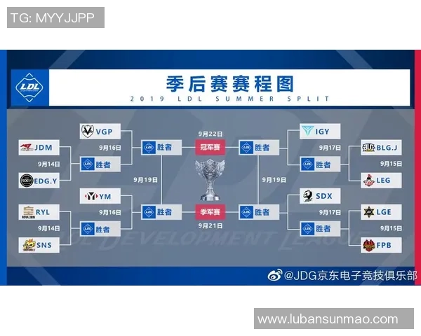 电竞比分冠军杯分析JDG选手个人能力表现与团队协作的深度结合