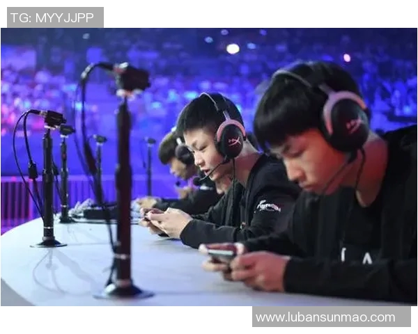 电竞实时数据助力张芳回顾王者荣耀辉煌生涯与未来展望