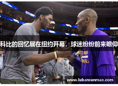 科比的回忆展在纽约开幕，球迷纷纷前来瞻仰