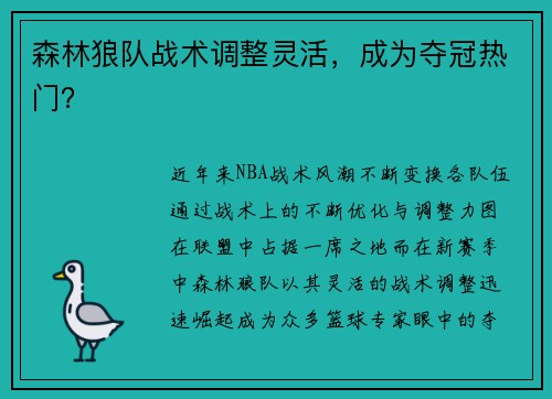 森林狼队战术调整灵活，成为夺冠热门？